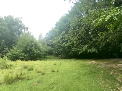Teren intravilan vanzare Breaza de Sus Prahova copaci